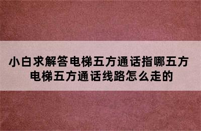 小白求解答电梯五方通话指哪五方 电梯五方通话线路怎么走的